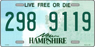 NH license plate 2989119