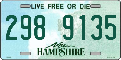 NH license plate 2989135