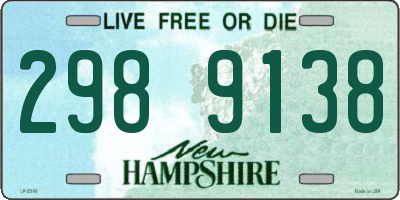 NH license plate 2989138