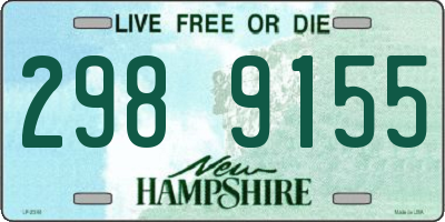 NH license plate 2989155