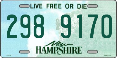 NH license plate 2989170