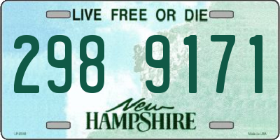 NH license plate 2989171