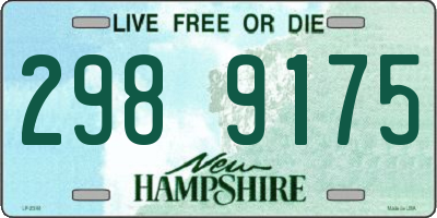 NH license plate 2989175