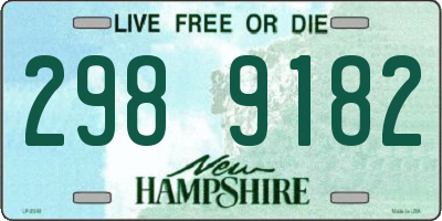 NH license plate 2989182