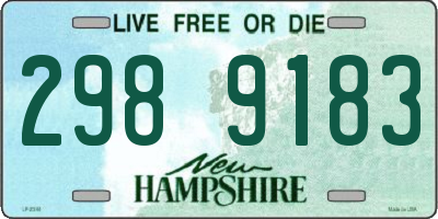 NH license plate 2989183
