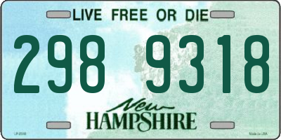 NH license plate 2989318