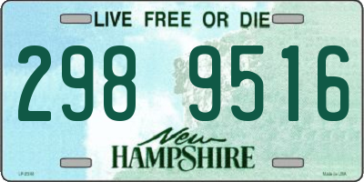 NH license plate 2989516