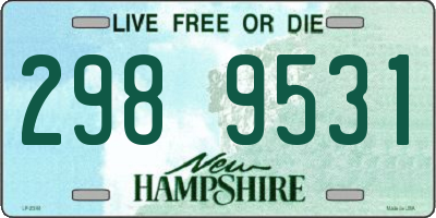 NH license plate 2989531