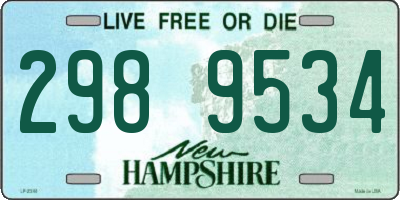 NH license plate 2989534