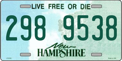 NH license plate 2989538