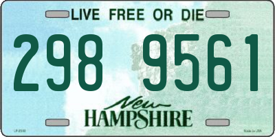 NH license plate 2989561