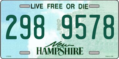 NH license plate 2989578