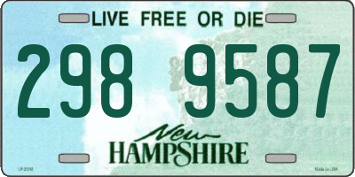 NH license plate 2989587