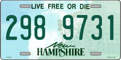 NH license plate 2989731
