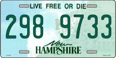 NH license plate 2989733