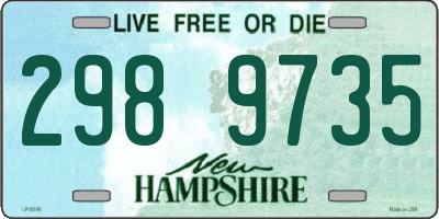NH license plate 2989735