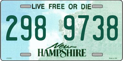 NH license plate 2989738