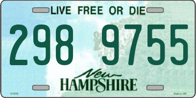 NH license plate 2989755