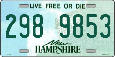 NH license plate 2989853