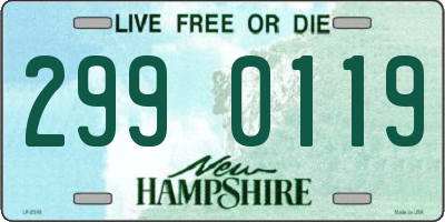 NH license plate 2990119