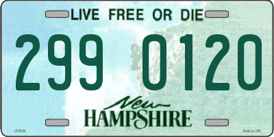 NH license plate 2990120