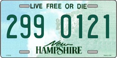 NH license plate 2990121