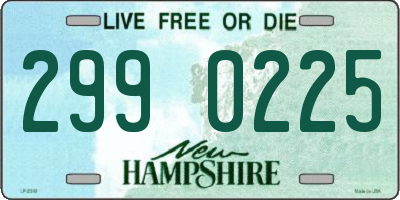 NH license plate 2990225