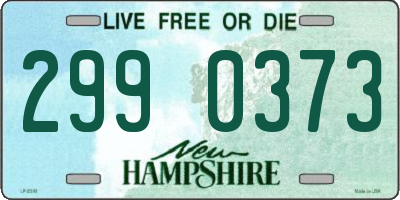 NH license plate 2990373