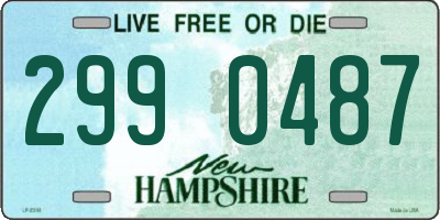 NH license plate 2990487