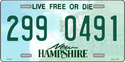 NH license plate 2990491