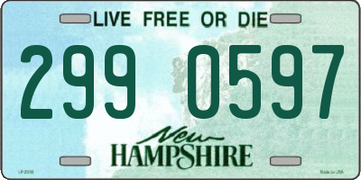NH license plate 2990597