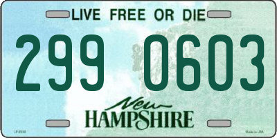 NH license plate 2990603