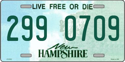 NH license plate 2990709