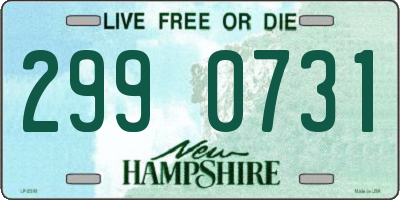 NH license plate 2990731