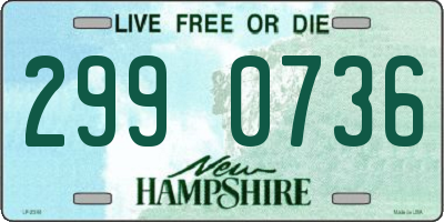 NH license plate 2990736
