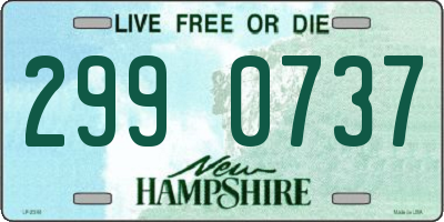 NH license plate 2990737
