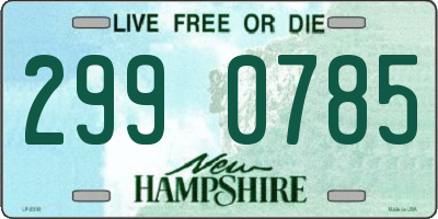 NH license plate 2990785