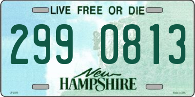 NH license plate 2990813