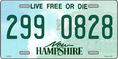 NH license plate 2990828