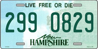 NH license plate 2990829