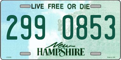 NH license plate 2990853