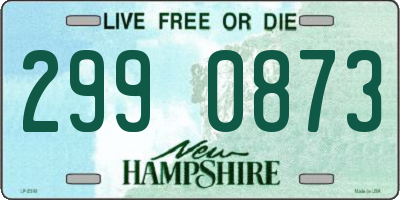 NH license plate 2990873