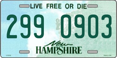 NH license plate 2990903