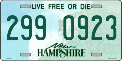 NH license plate 2990923