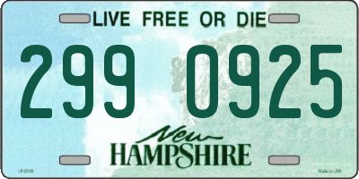 NH license plate 2990925