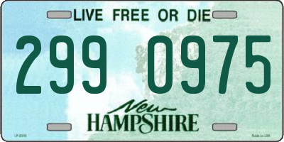 NH license plate 2990975