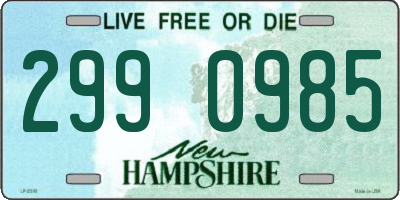 NH license plate 2990985