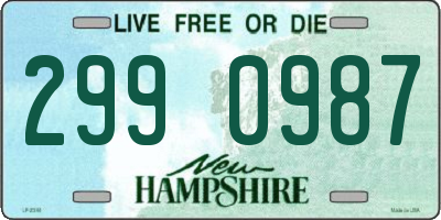 NH license plate 2990987