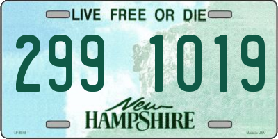 NH license plate 2991019