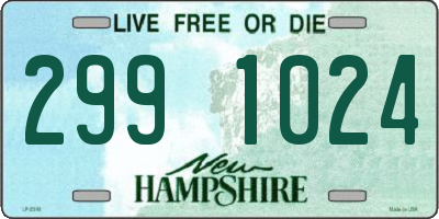 NH license plate 2991024